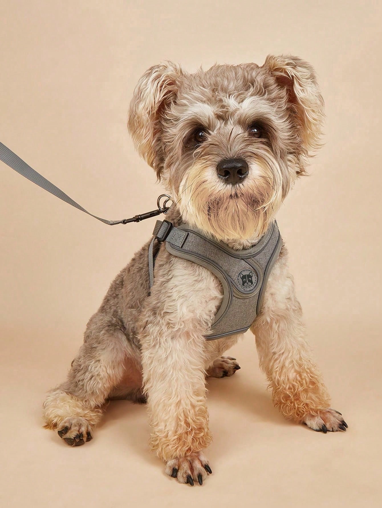 Running Gear Dog - Dog Harness for Small Medium Dogs