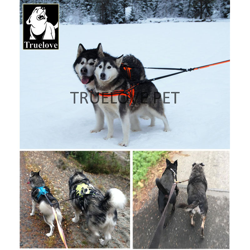 Truelove Nylon Double Dog Leas - Running Gear Dog ulasan dan harga