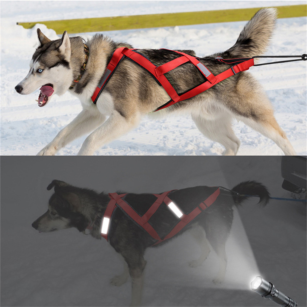 High Quality Big Dog Sledge Ha - Running Gear Dog ulasan dan harga
