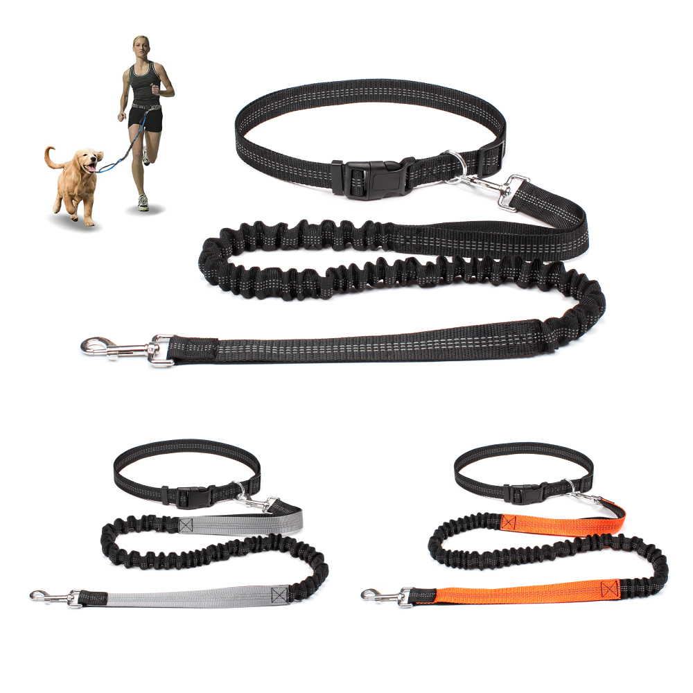 Hand Free Dog Leash for Pet Wa - Running Gear Dog ulasan dan harga