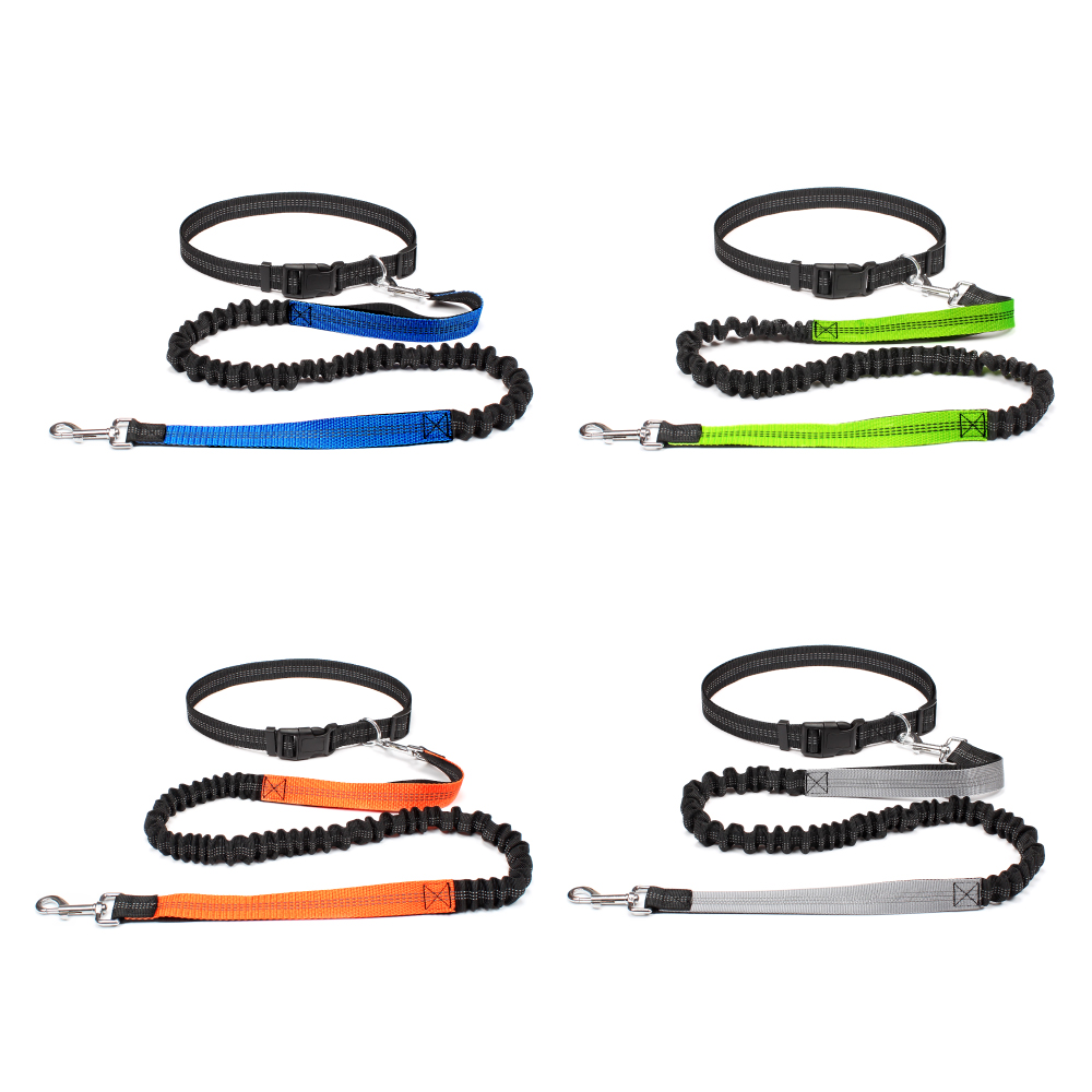 Hand Free Dog Leash for Pet Wa - Running Gear Dog ulasan dan harga