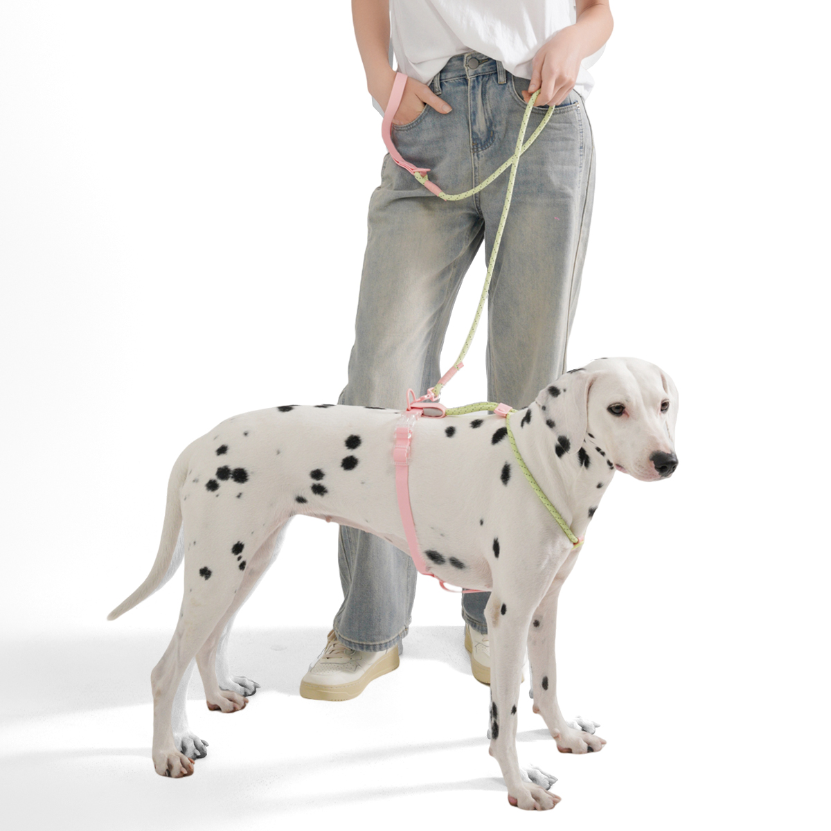 Small And Medium Dogs Harness  - Running Gear Dog ulasan dan harga