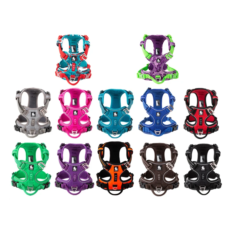 Truelove Pet Reflective Nylon  - Running Gear Dog ulasan dan harga