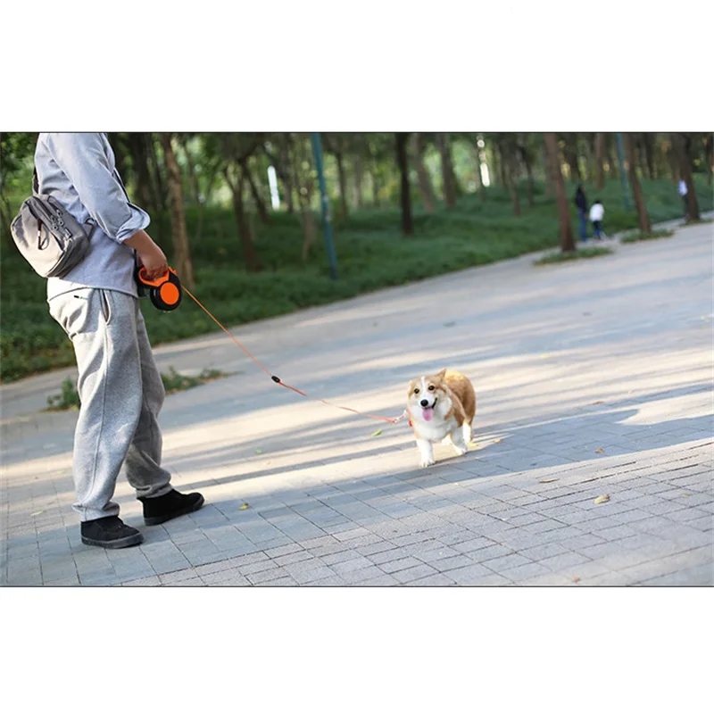 3M/5M/8MRetractable Dog Leash  - Running Gear Dog ulasan dan harga
