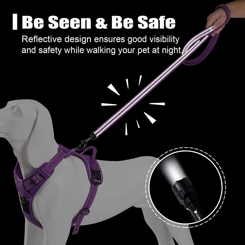 Truelove 200Cm Nylon Dog Lead  - Running Gear Dog ulasan dan harga