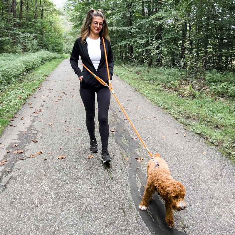 Reflective Hands-Free Dog Leas - Running Gear Dog ulasan dan harga