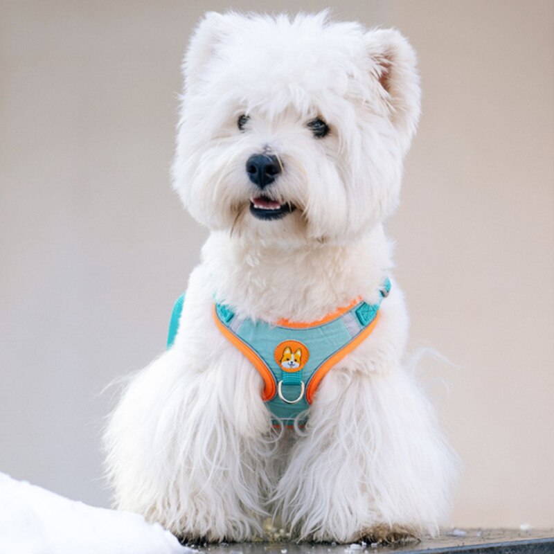 Adjustable No Pull Pet Reflect - Running Gear Dog ulasan dan harga