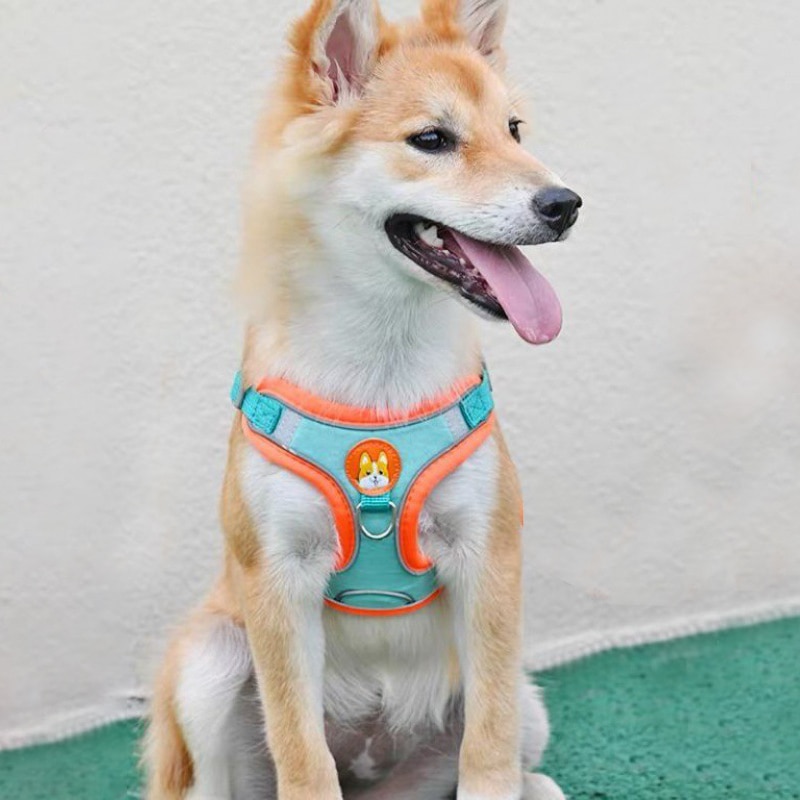 Adjustable No Pull Pet Reflect - Running Gear Dog ulasan dan harga